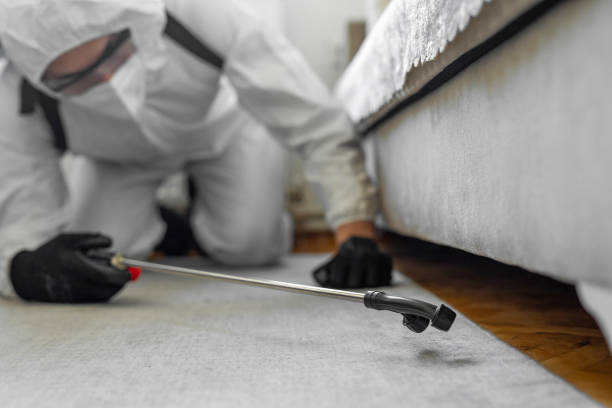 Professional Bed Bug Control technician working in Roselle, NJ