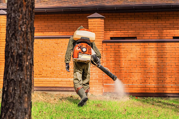 Trusted Mosquito Control service in Roselle, NJ - Nex Pest Control